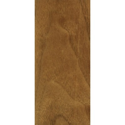 American Black Walnut